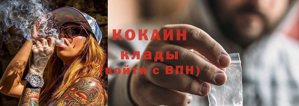 метадон Каменка