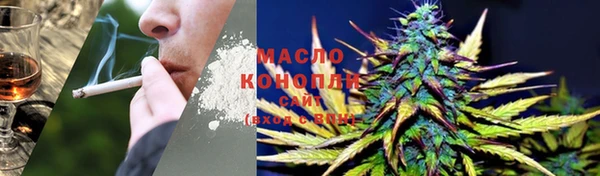 крисы Аркадак