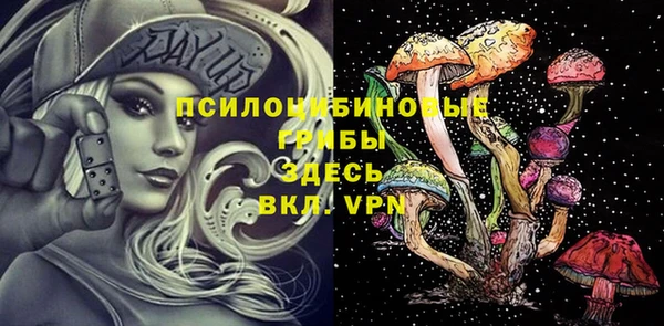 винт Каменногорск