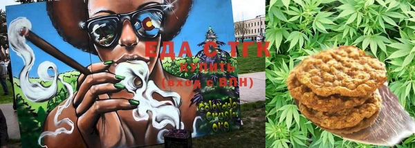 крисы Аркадак
