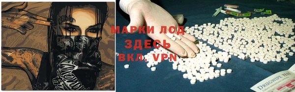 крисы Аркадак